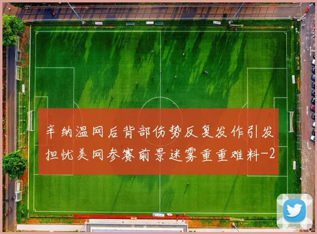 辛纳温网后背部伤势反复发作引发担忧美网参赛前景迷雾重重难料