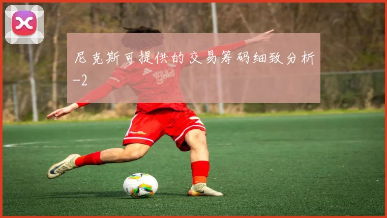尼克斯可提供的交易筹码细致分析