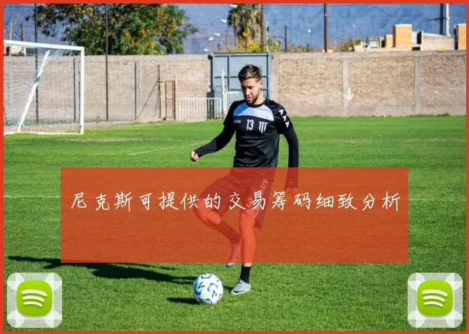 尼克斯可提供的交易筹码细致分析